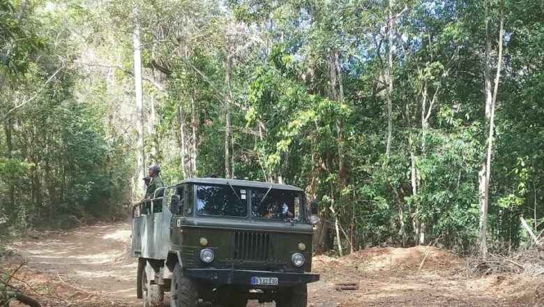 Limitaciones de recursos talan la Forestal