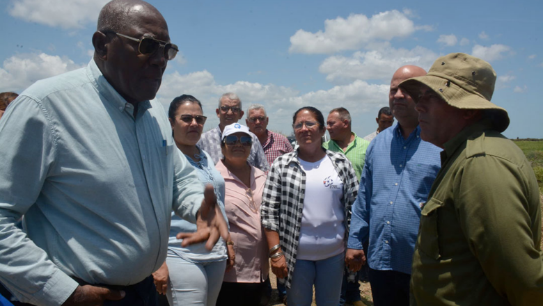 Vicepresidente de Cuba evalúa programas agrícolas en Villa Clara