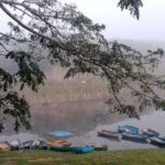 Andan huyuyos los peces en la Zaza
