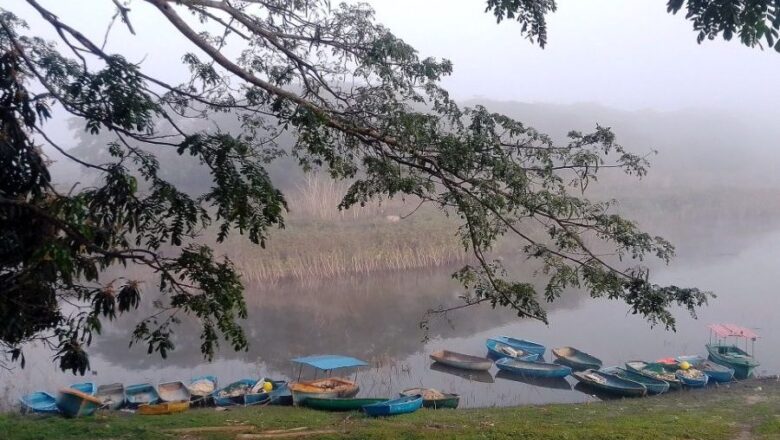 Andan huyuyos los peces en la Zaza