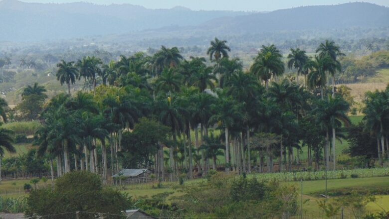 Paisaje de Cabaiguán: un encanto a la vista