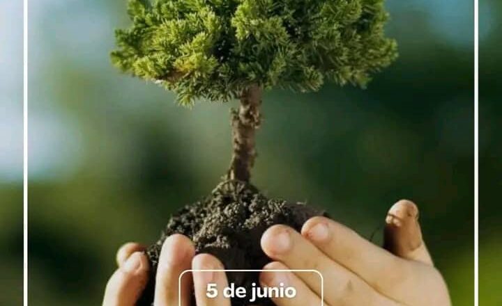 5 de junio: Día Mundial del Medio Ambiente