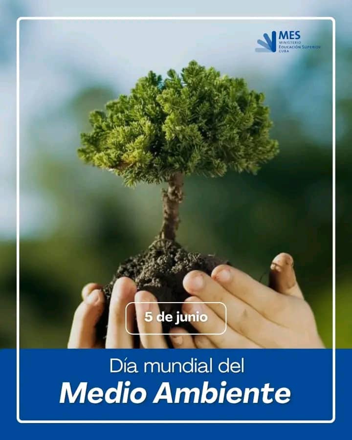 5 de junio