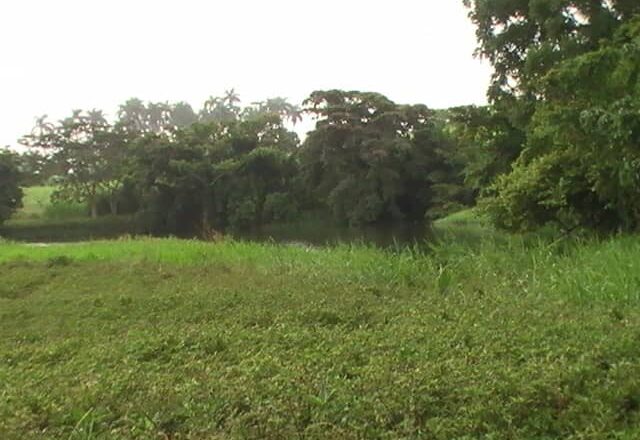 ¿Cabaiguán tiene deudas con el medio ambiente? (+Fotos)