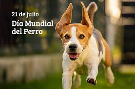 perro