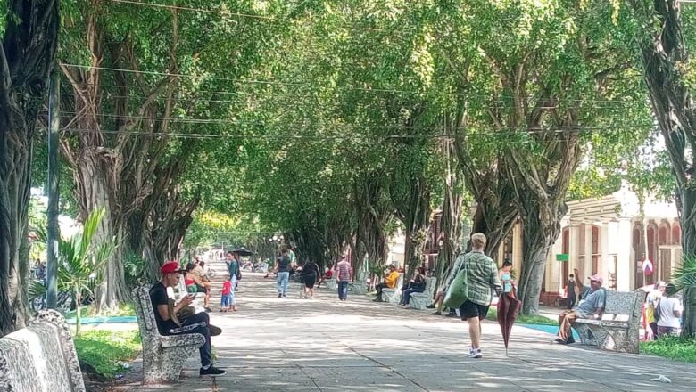 Veraneando en el paseo