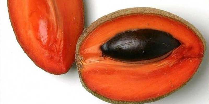 mamey