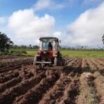 Producción y comercialización de alimentos entre avances y retrocesos en Cabaiguán (+ Audio)