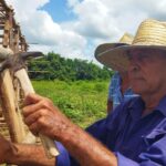 El guardián de las casas de tabaco