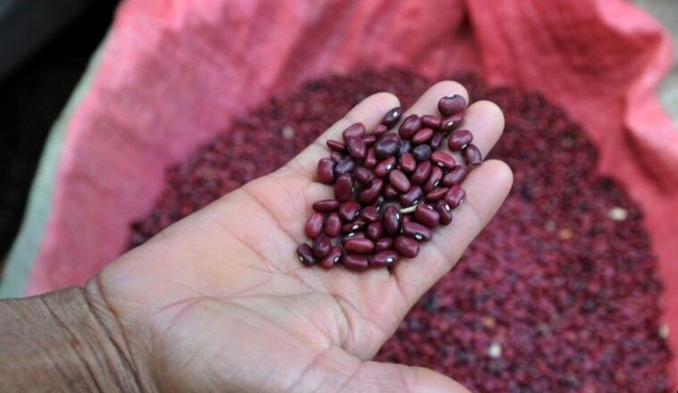 Venderán en Sancti Spíritus arroz y frijoles a precios diferenciados