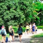 Evalúan de positiva ejecución del plan de acciones del verano 2025 en Cabaiguán