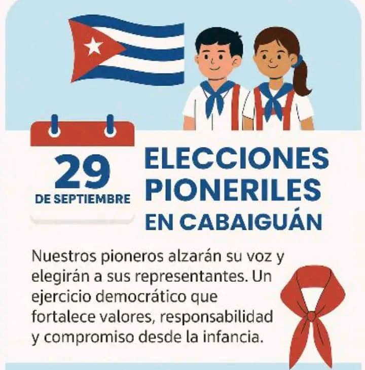 elecciones 