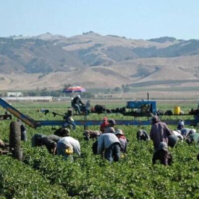 Se pierden 1,2 millones de trabajos realizados por inmigrantes en EE.UU.