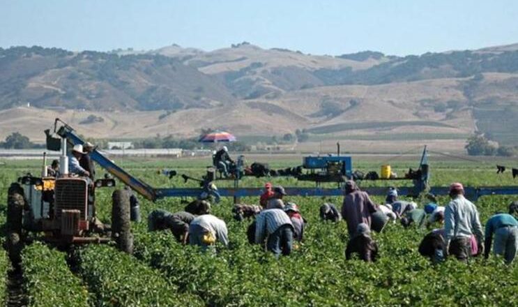 Se pierden 1,2 millones de trabajos realizados por inmigrantes en EE.UU.