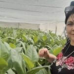 Ana María Guerra Alfonso: una mujer rural de estos tiempos (+Audio)