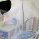 Vigilante Sancti Spíritus ante circulación de chikungunya