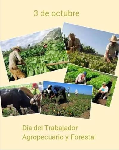 trabajador