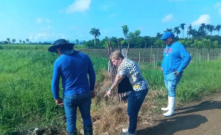 Impulsa gobierno de Cabaiguán programa de recuperación de viales hacia comunidades rurales (+ Fotos) 