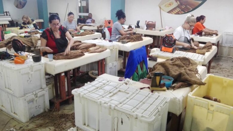 Centro de capas Miguel Mariano Reyes Castro, por la calidad y tradición tabacalera en Cabaiguán (+Fotos)