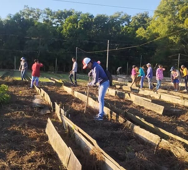 Recuerdan en Cabaiguán 66 aniversario del primer trabajo voluntario realizado en Cuba (+ Fotos)