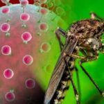 Autoridades sanitarias en Cuba insisten en prevención de arbovirosis