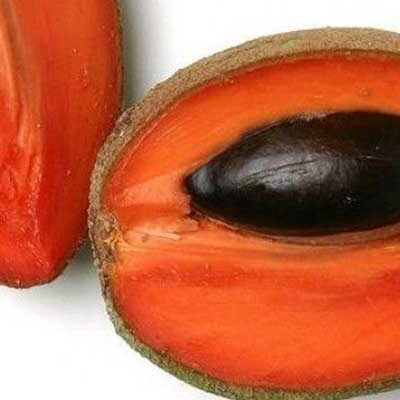 Mamey, una fruta exquisita muy consumida en Cuba