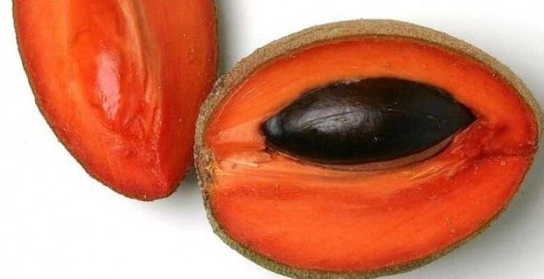 Mamey, una fruta exquisita muy consumida en Cuba