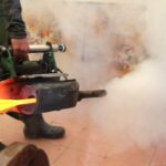 Dengue y chikungunya casas adentro