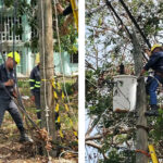 Cuba: Avanza recuperación en región oriental afectada por huracán Melissa