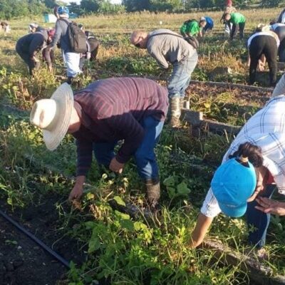 La voluntad que el Che nos legó