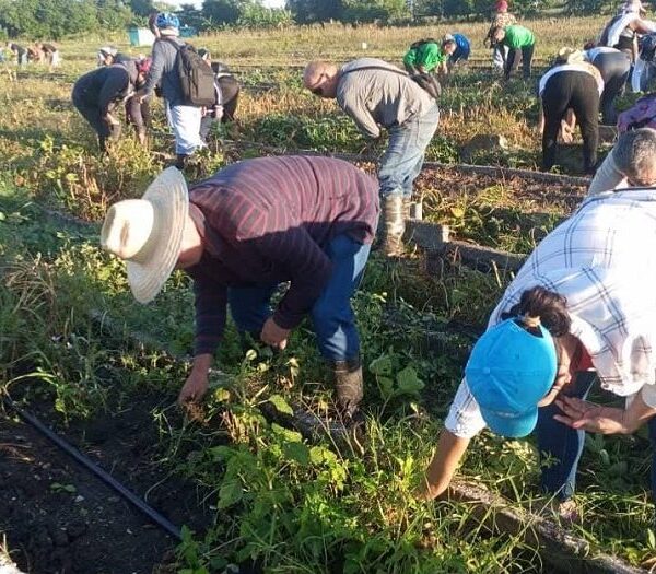 La voluntad que el Che nos legó