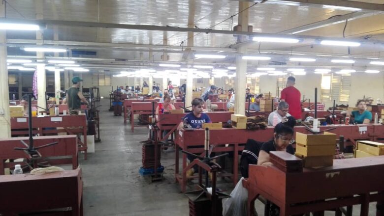 Trabajan para superar indicadores de eficiencia en UEB de tabacos torcidos Alfredo López Brito de Cabaiguán (+ Fotos)