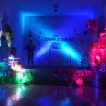 Trigésimo quinta edición de la semana de la cultura de Guayos: reverencia a la historia y tradiciones de la localidad (+Audio y Fotos )