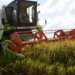 Sancti Spíritus: oportunidad rusa a favor del arroz