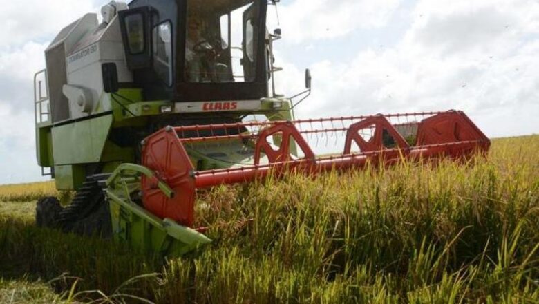Sancti Spíritus: oportunidad rusa a favor del arroz
