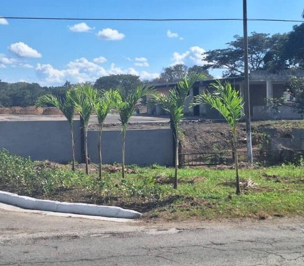 Comenzaron acciones constructivas del crematorio de Sancti Spíritus