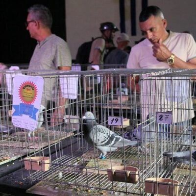 Federación Colombófila de Cuba premia en tierras del Yayabo