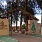 Estación Experimental del Tabaco de Cabaiguán saluda el día de la ciencia cubana con importantes logros en su labor(+audio)