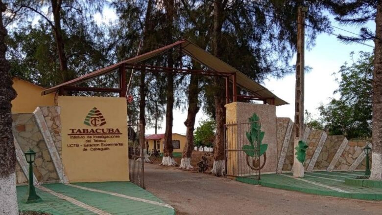 Estación Experimental del Tabaco de Cabaiguán saluda el día de la ciencia cubana con importantes logros en su labor(+audio)