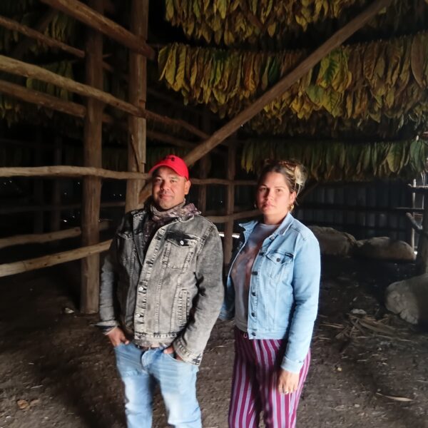 Yanovis Palomino: un joven enamorado de su primera vega (+ Video Podcast)