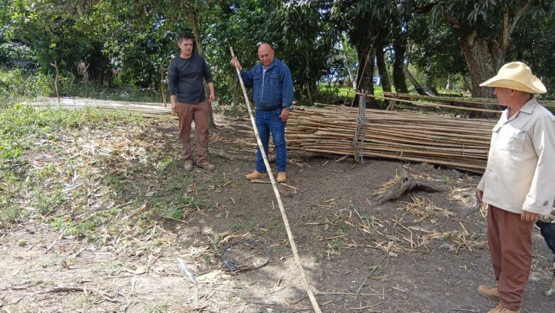 Sergio y Dánger Borroto: Dos apasionados por la vega (+ Podcast)