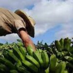 Confirman directivos cabaiguaneses compromiso con el desarrollo del municipio (+Audio)