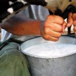Garantizan electricidad productores élites cabaiguanenses a los termos de leche a partir del uso de energías renovables (+Audio)