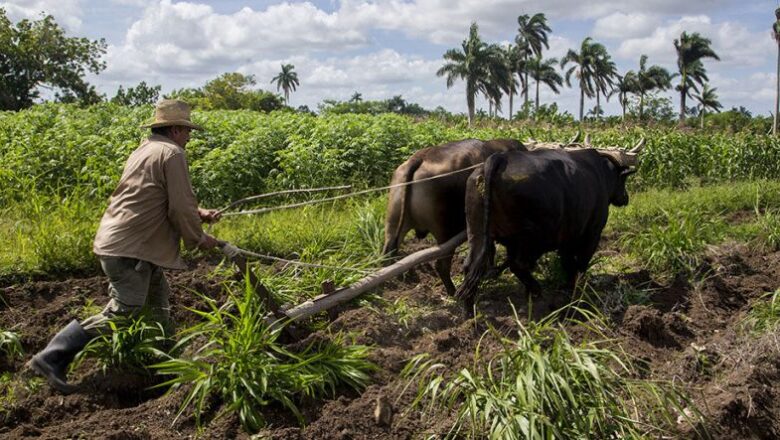 Ley de la Tierra en cronograma legislativo