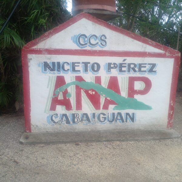 CCS Niceto Pérez: una cooperativa que pare tabaqueros (+ Video Podcast)