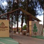 Estación Experimental del Tabaco en Cabaiguán: donde las mujeres llevan las riendas de la investigación (+ Video Podcast)