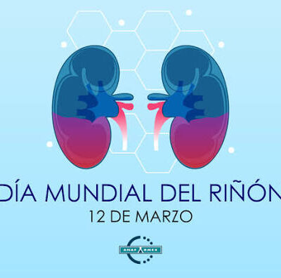 Día Mundial del Riñón