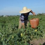 Cuba garantiza protección laboral ante crisis energética