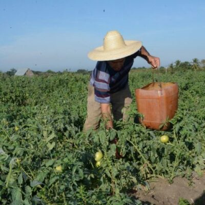 Cuba garantiza protección laboral ante crisis energética