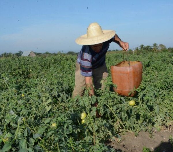 Cuba garantiza protección laboral ante crisis energética